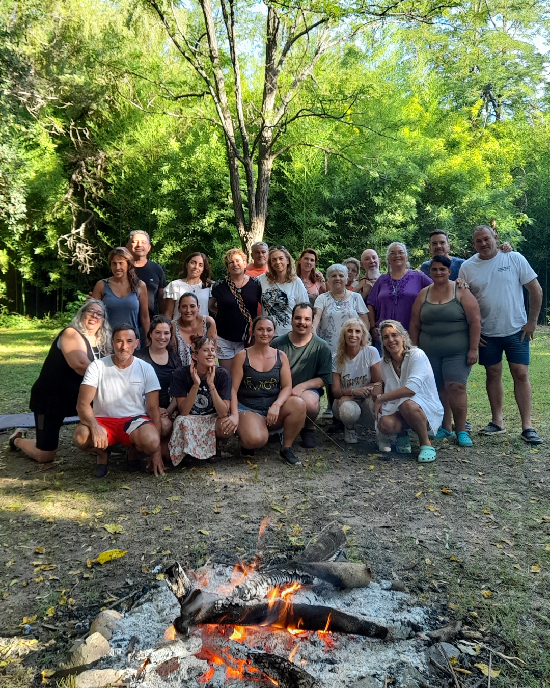 Foto carrito QS3_vert