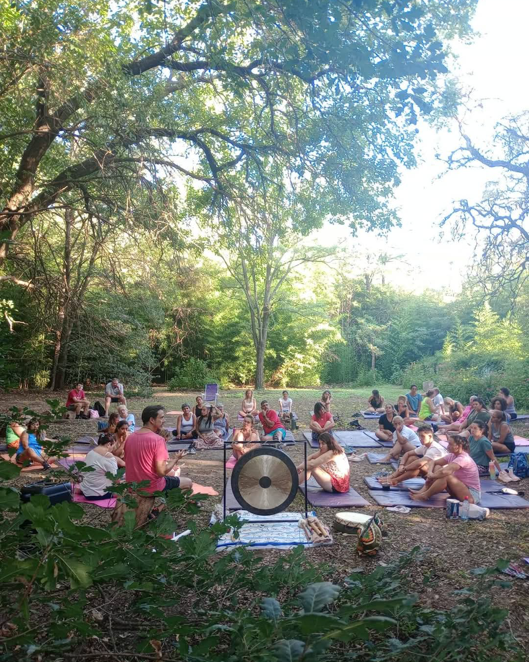 Foto carrito QS4_vert